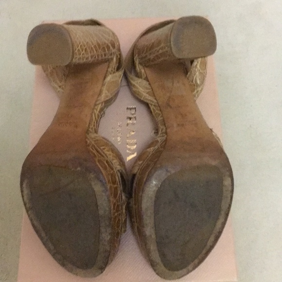 Prada Crocodile Ankle Wrap Platforms - Picture 6 of 6